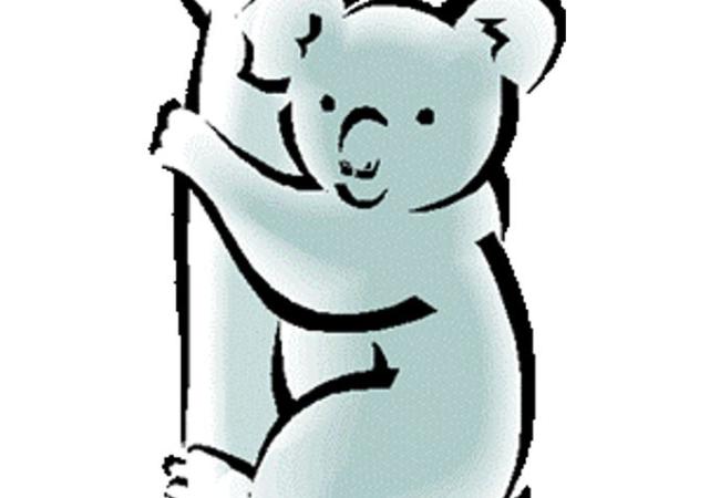 Foto's Koala's